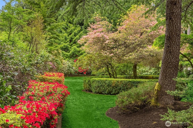 15790 Agatewood Rd NE, Bainbridge Island, WA 98110 - view of community featuring a yard and a view of trees