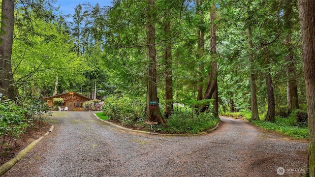 15790 Agatewood Rd NE, Bainbridge Island, WA 98110 - view of dirt / gravel driveway with a view of trees