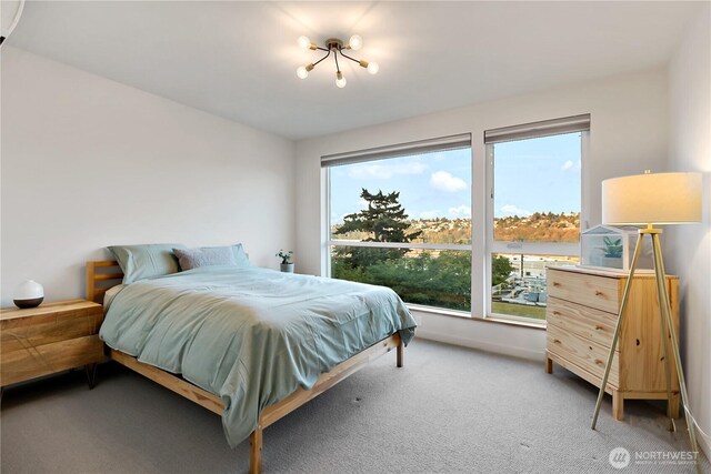 2273 14th Ave W, Seattle, WA 98119 - bedroom featuring carpet floors and baseboards
