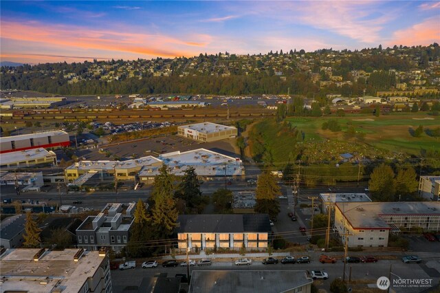 2273 14th Ave W, Seattle, WA 98119 - aerial view of property's location featuring a golf course