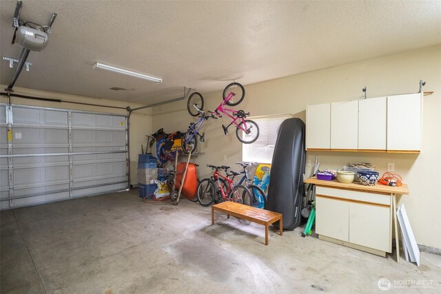 8070 Kispiox Rd, Blaine, WA 98230 - garage with a garage door opener