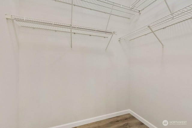 5286 236th Pl SE, Issaquah, WA 98029 - walk in closet featuring wood finished floors