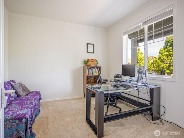 office space with carpet floors, ornamental molding, and baseboards