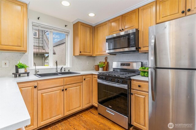 kitchen featuring appliances with stainless steel finishes, a sink, light countertops, and recessed lighting