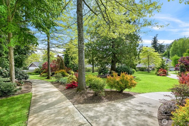 view of home's community featuring a yard