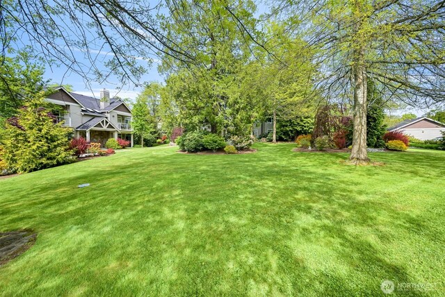view of green lawn