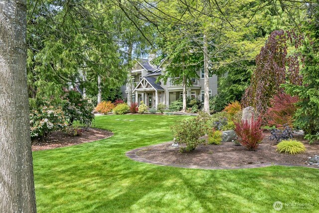 view of grassy yard