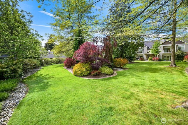 view of grassy yard