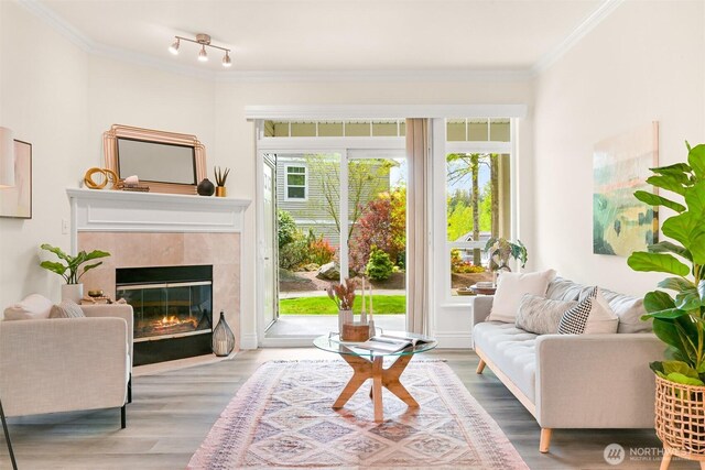 sitting room featuring a tile fireplace, ornamental molding, and wood finished floors