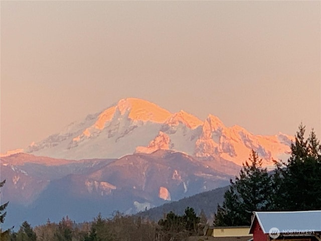 1835 E Smith Rd, Bellingham, WA 98226 - view of mountain backdrop