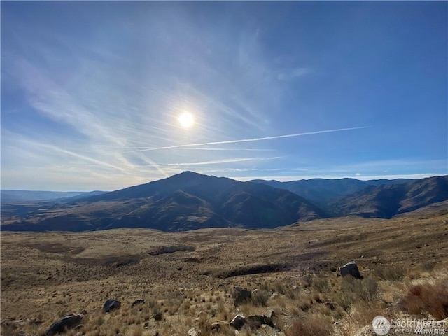 3XX Buckhorn Mountain Rd, Pateros, WA 98846