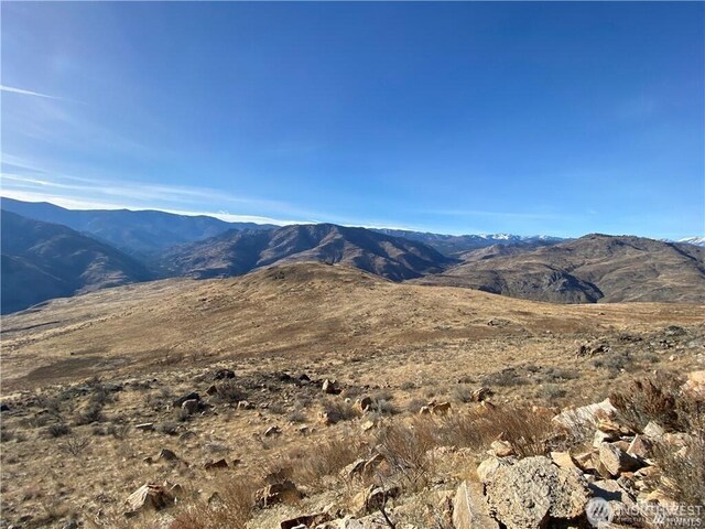 3XX Buckhorn Mountain Rd, Pateros, WA 98846