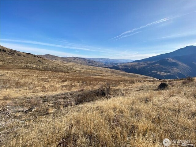 3XX Buckhorn Mountain Rd, Pateros, WA 98846