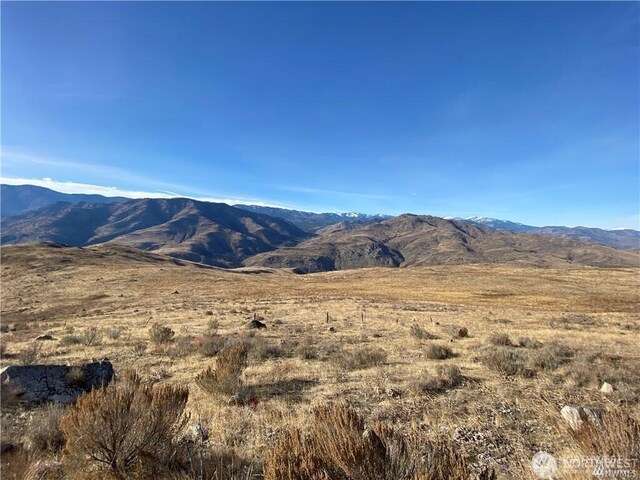 3XX Buckhorn Mountain Rd, Pateros, WA 98846