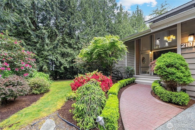 21016 NE 33rd Pl, Sammamish, WA 98074 - view of yard
