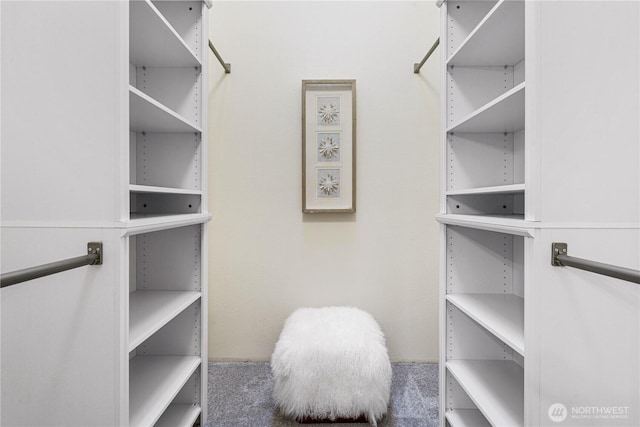 21016 NE 33rd Pl, Sammamish, WA 98074 - spacious closet with carpet