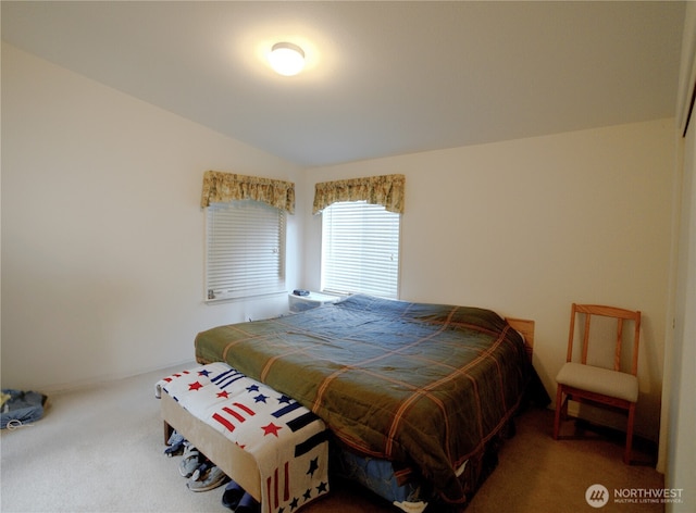 113 Canyon Estates Dr, Sequim, WA 98382 - photo 13