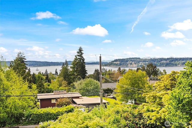 1533 S Sunset Dr, Tacoma, WA 98465 - view of property's community featuring a water view