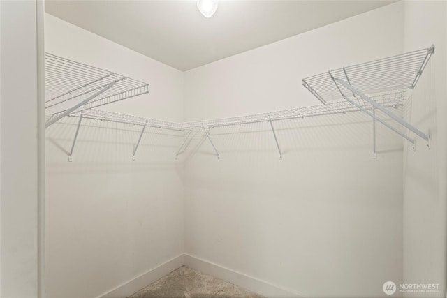 1533 S Sunset Dr, Tacoma, WA 98465 - walk in closet featuring carpet floors
