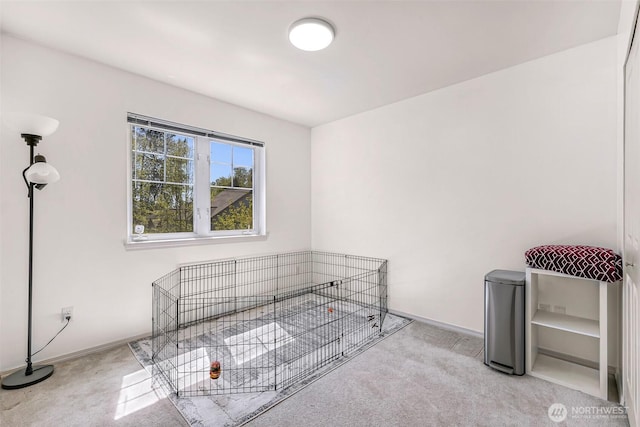 interior space featuring carpet and baseboards