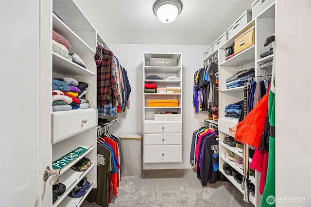 2758 Mcneil St, Dupont, WA 98327 - walk in closet with carpet