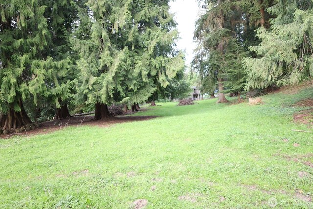 14325 243rd Ave SE, Monroe, WA 98272 - photo 25