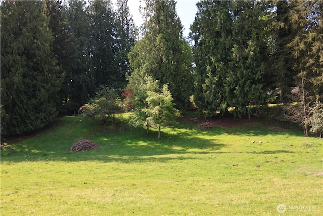 14325 243rd Ave SE, Monroe, WA 98272 - photo 27