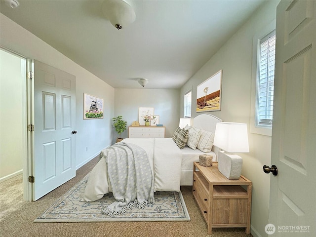 12504 S C St, Parkland, WA 98444 - bedroom with carpet floors and multiple windows