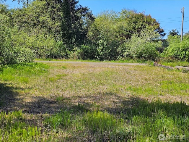 15 Cedar Ln, Pacific Beach, WA 98571