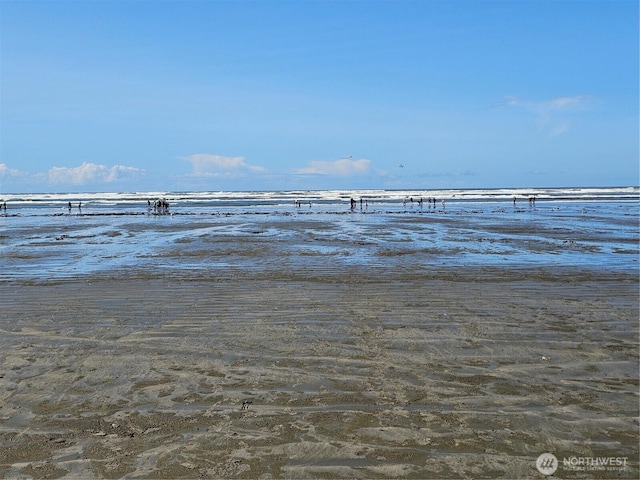 15 Cedar Ln, Pacific Beach, WA 98571