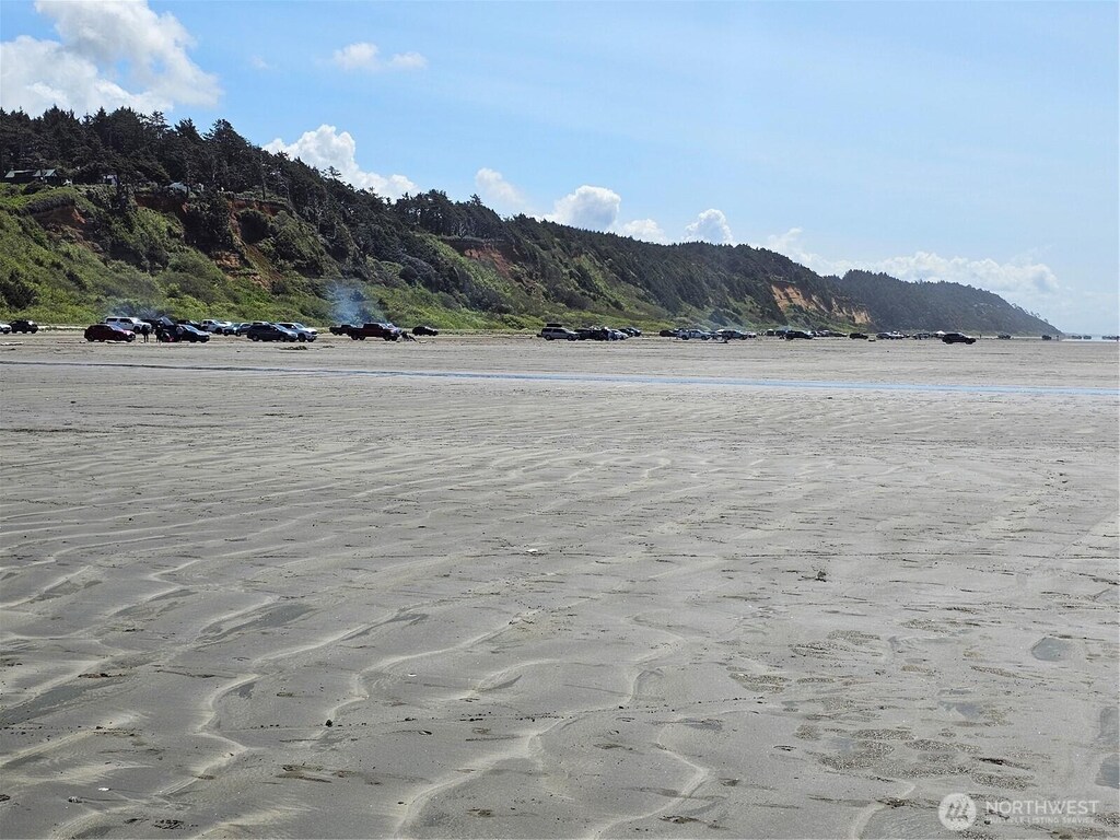 15 Cedar Ln, Pacific Beach, WA 98571 - photo 3