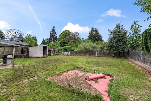 view of yard featuring a storage unit and an outbuilding