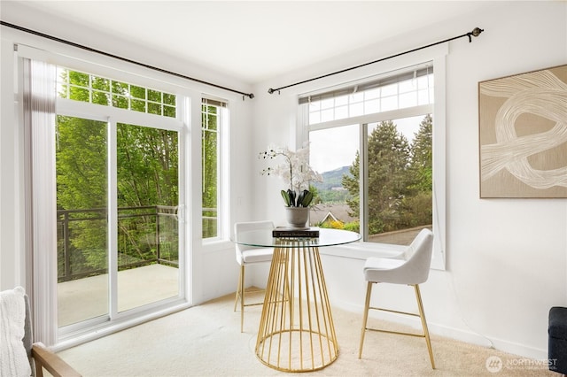 view of sunroom / solarium