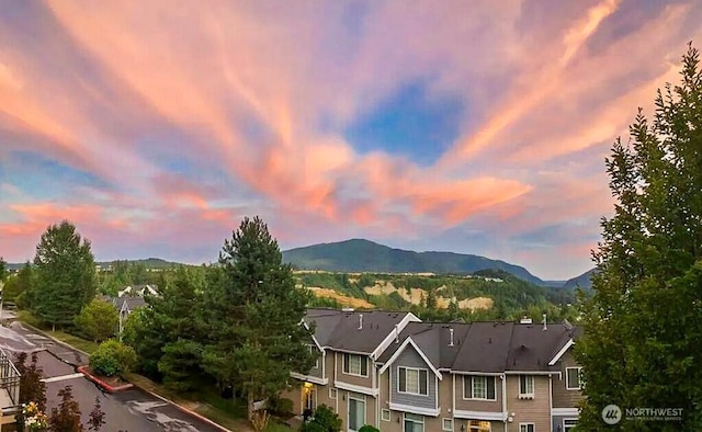 mountain view