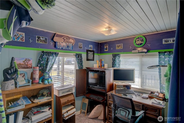 804 Pacific Ave N, Long Beach, WA 98631 - home office with healthy amount of natural light, wooden ceiling, and carpet