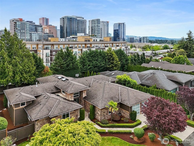 1038 Belfair Rd, Bellevue, WA 98004 - bird's eye view of skyline