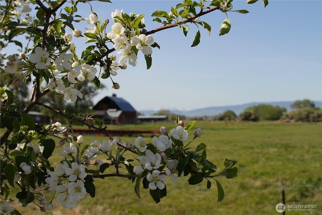 0 Woodhouse Loop, Ellensburg, WA 98926 - photo 19
