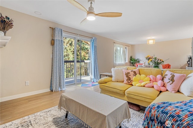 15623 NE 18th St Unit D201, Bellevue, WA 98008 - living area with wood finished floors, baseboards, and ceiling fan