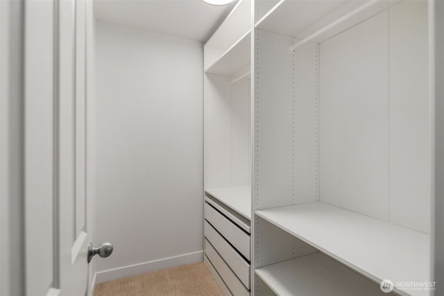 829 232nd Pl NE, Sammamish, WA 98074 - spacious closet with light carpet