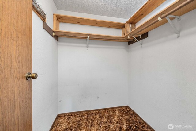 spacious closet featuring carpet flooring