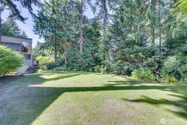 11819 73rd Pl NE, Kirkland, WA 98034 - view of green lawn