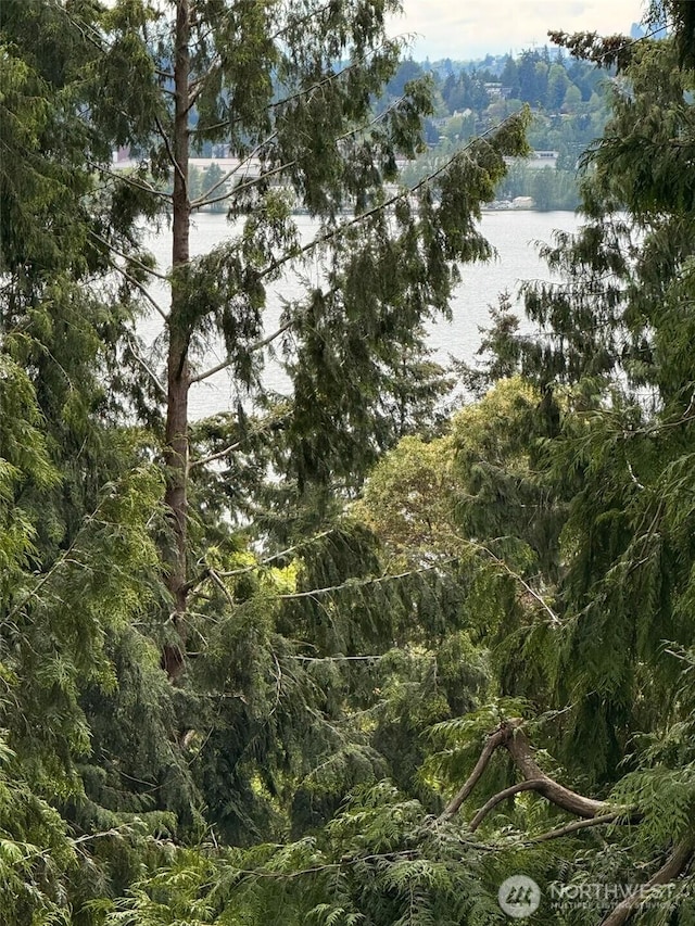 11819 73rd Pl NE, Kirkland, WA 98034 - view of wooded area featuring a water view