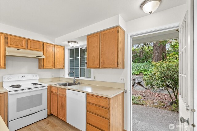 kitchen featuring white appliances, a sink, under cabinet range hood, light countertops, and light wood-type flooring