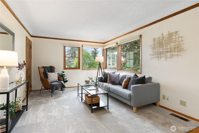 12013 Exeter Ave NE, Seattle, WA 98125 - living room featuring crown molding, baseboards, light carpet, and a textured ceiling