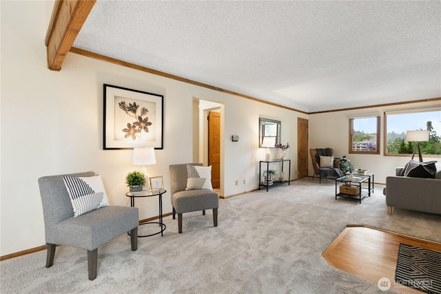 12013 Exeter Ave NE, Seattle, WA 98125 - living room featuring carpet flooring, ornamental molding, baseboards, and a textured ceiling