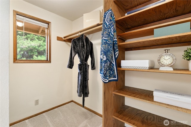 12013 Exeter Ave NE, Seattle, WA 98125 - spacious closet with carpet flooring