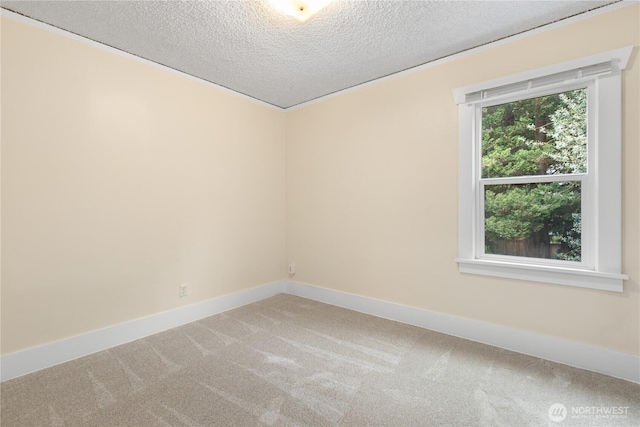 12013 Exeter Ave NE, Seattle, WA 98125 - carpeted spare room featuring baseboards and a textured ceiling