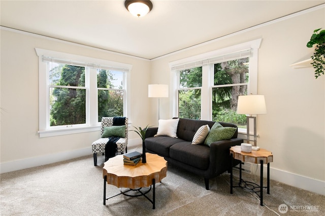 12013 Exeter Ave NE, Seattle, WA 98125 - living room with plenty of natural light, baseboards, carpet floors, and ornamental molding