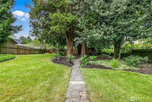12013 Exeter Ave NE, Seattle, WA 98125 - view of yard