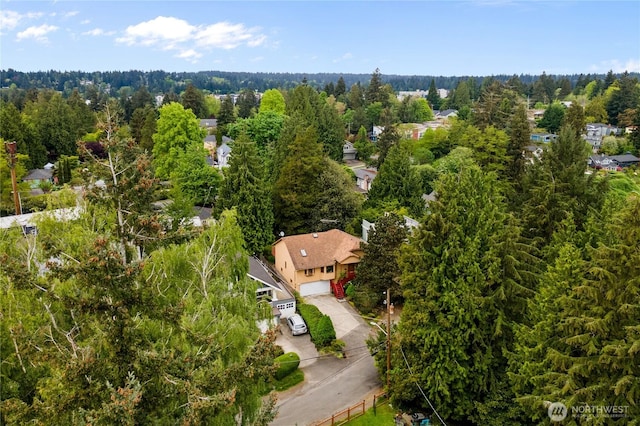 12013 Exeter Ave NE, Seattle, WA 98125 - bird's eye view
